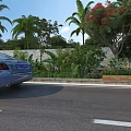 Road Facilities With White Lane Markings Green Plants Palm Trees And Flower Beds Along Roadway