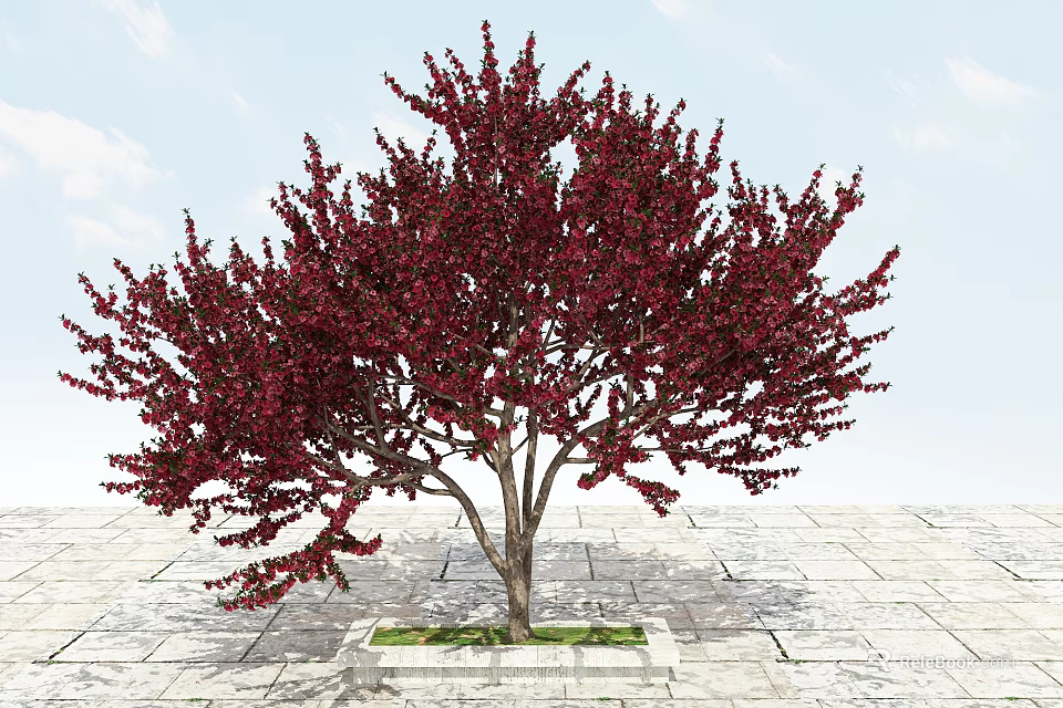 Beautiful Red Foliage Arbor With Brown Trunk On Stone Pavement Square Planter 3d model