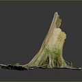 Natural Wooden Stone Decorative Stump With Intricate Roots And Textured Base