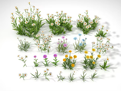 Park Landscape with White Daisies Yellow Purple Flowers and Green Grass 3d model