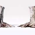 Natural Stone Wood Tree Stumps With Intricate Roots And Rough Textured Surface