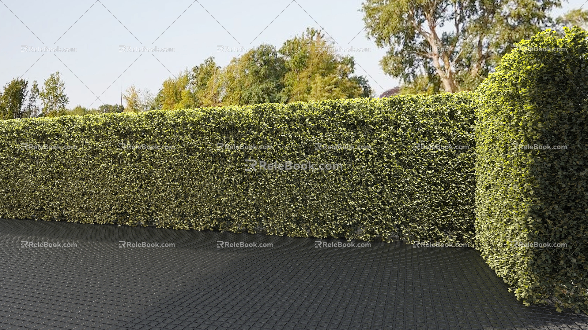 Modern garden hedge bush gardening plant plant wall 3d model