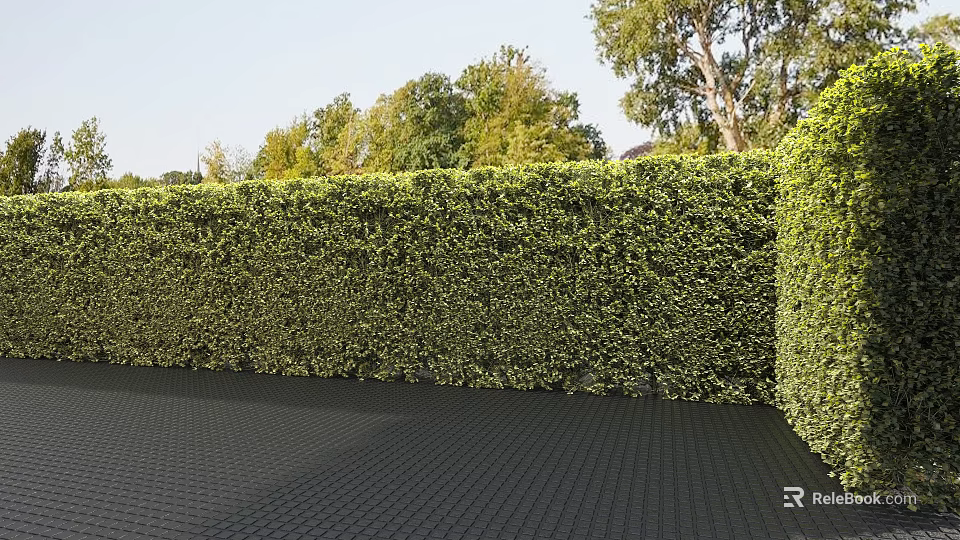 Vertical Outdoor Green Plant Wall With Lush Foliage And Natural Landscaping Design 3d model 