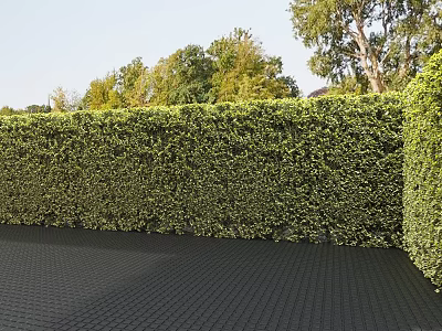 Vertical Outdoor Green Plant Wall With Lush Foliage And Natural Landscaping Design 3d model