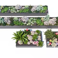 Bonsai Potted Plants With Various Succulents Green Plants And Colorful Flowers In Rectangular Planters