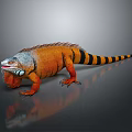 Orange and Black Striped Iguana with Scaly Skin on Reflective Gray Surface