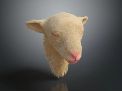 Light Colored Sheep Head With Yellow Eyes Pink Nose And Soft Fur On Gray Background 3d model