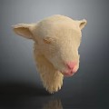 Light Colored Sheep Head With Yellow Eyes Pink Nose And Soft Fur On Gray Background