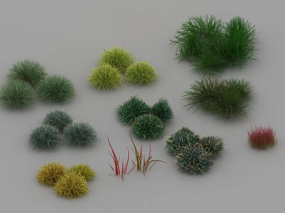 Diverse Types of Colorful Grass and Shrubs with Various Shapes and Hues 3d model