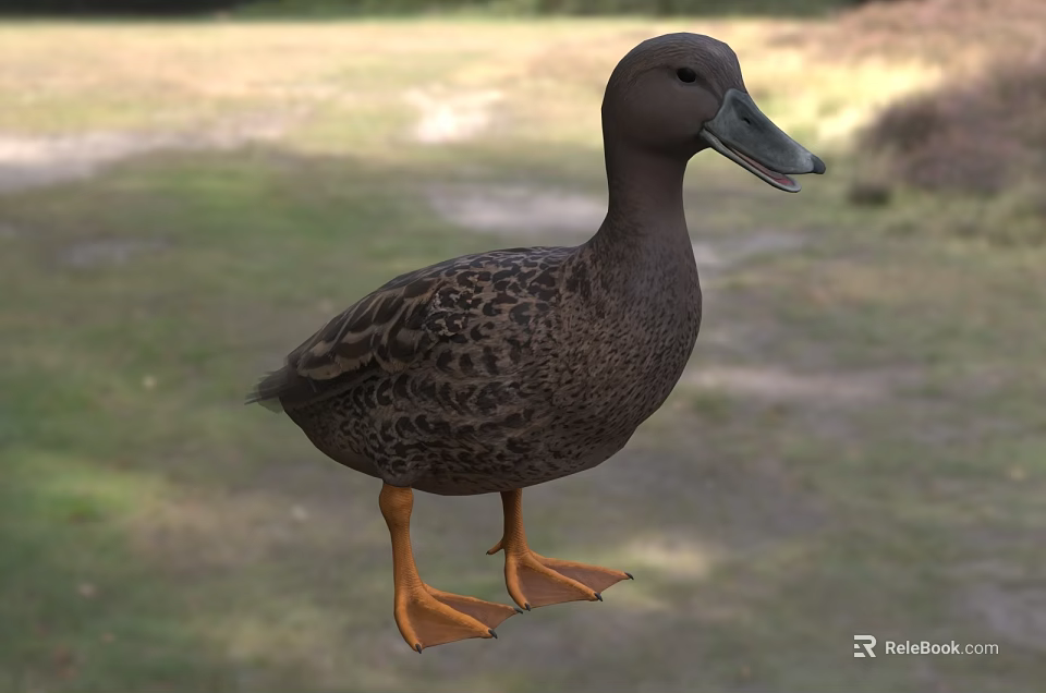 Brown Duck As Flying Animal Standing On Green Grass Field With Orange Webbed Feet 3d model 