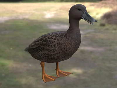 Brown Duck As Flying Animal Standing On Green Grass Field With Orange Webbed Feet 3d model