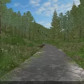 Scenic Forest Path Through Lush Green Vegetation With Tall Trees And Blue Sky 3d model