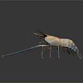 Detailed 3D Rendered Shrimp With Long Antennae And Blue Claws In High Definition Close Up