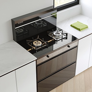 Kitchen integrated stove double-eye gas stove integrated steam oven kitchen countertop 3d model