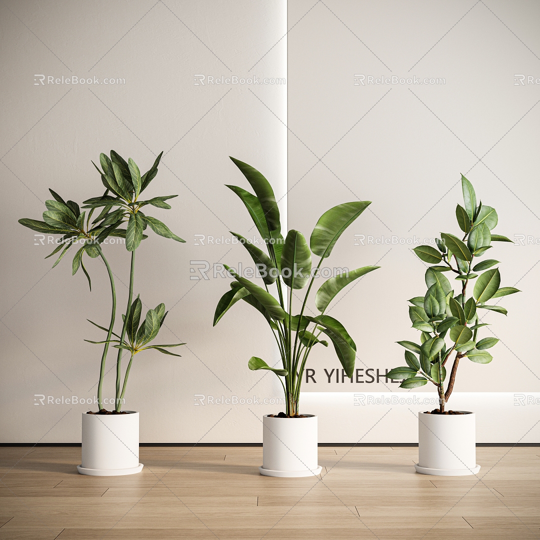 green plant potted plant indoor potted plant 3d model