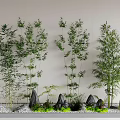 Indoor Landscape With Tall Bamboo Plants Decorative Stones White Pebbles And Greenery
