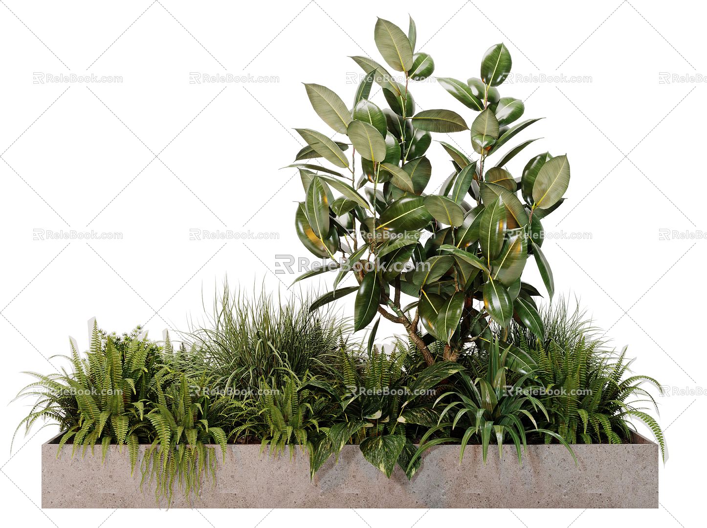 Modern potted plant end view plant landscape 3d model