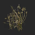 Dry Grass With Slender Stems And Spike Like Leaves On Dark Background