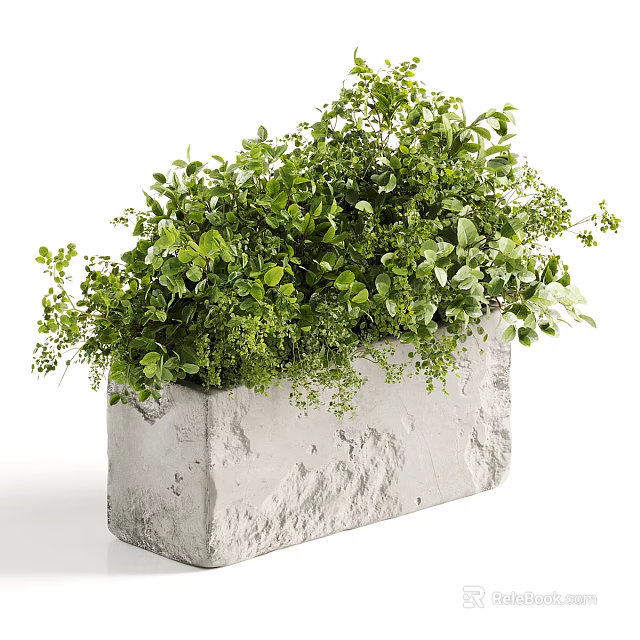 Lush Green Plant Floral Display In Textured Concrete Planter With Various Leaves 3d model 