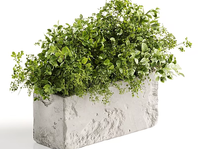 Lush Green Plant Floral Display In Textured Concrete Planter With Various Leaves 3d model