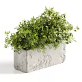 Lush Green Plant Floral Display In Textured Concrete Planter With Various Leaves