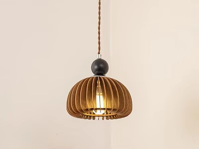 Wooden Pendant Light For Interior With Circular Striped Shade And Black Spherical Top Illuminated 3d model