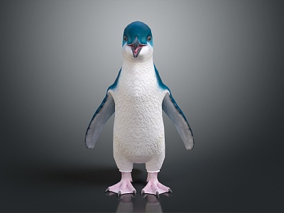 Modern Penguin Cartoon Penguin Animation Penguin model