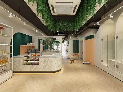Mall Shop Interior Design With Hanging Green Plants White Green Walls Wooden Flooring And Counter 3d model