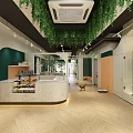 Mall Shop Interior Design With Hanging Green Plants White Green Walls Wooden Flooring And Counter