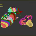 3D Rendered Medical Device Displaying Heart Skeletal Structure With Red Blood Vessels