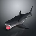Realistic 3D Rendered Shark With Open Mouth And Sharp Teeth On Gray Background