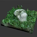 Fresh Green Vegetable Leaves Arranged On Transparent Base With Small Plants