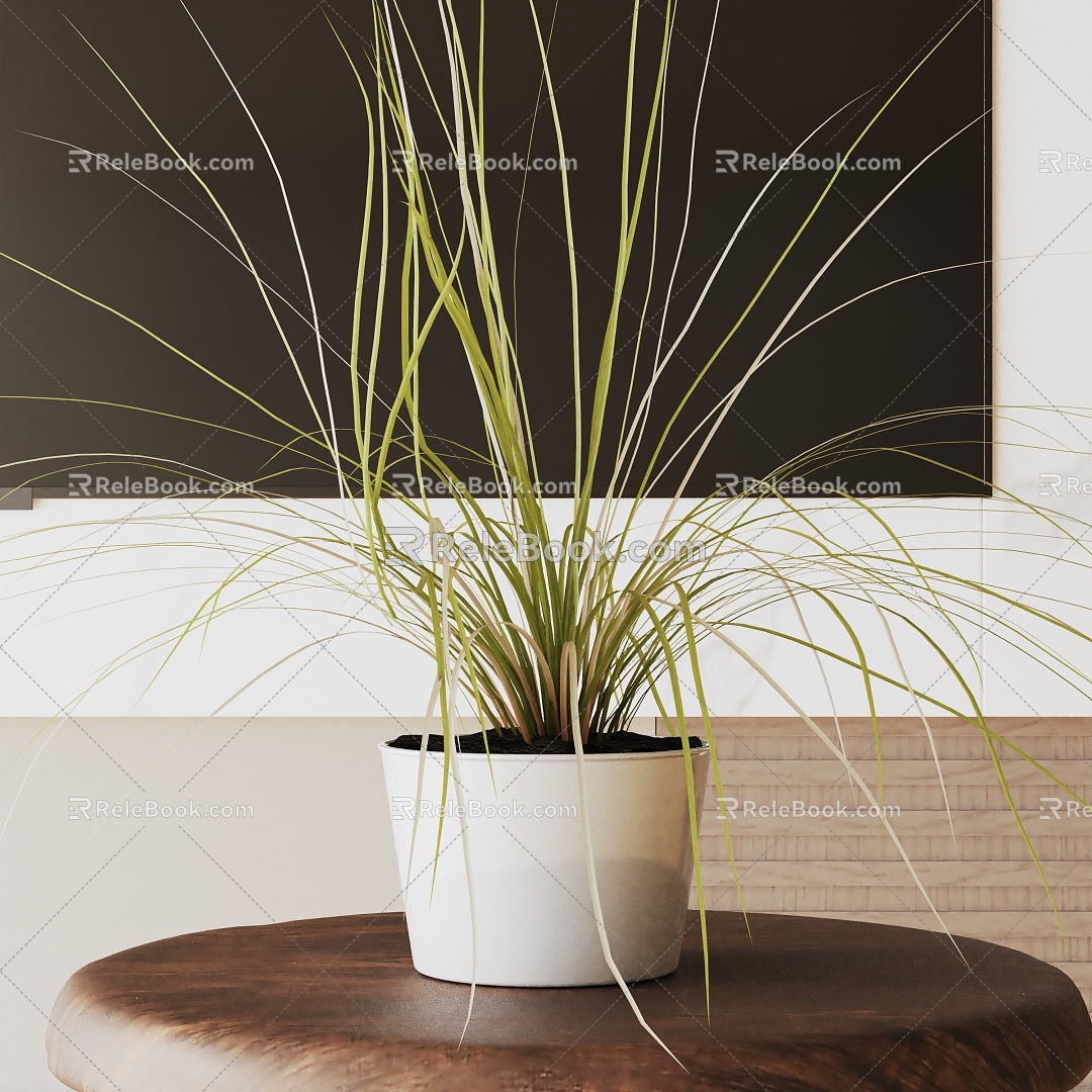 Modern Potted Plant 3d model