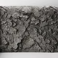 Detailed Rough Cracked Gray Surface Texture Of Natural Building Component