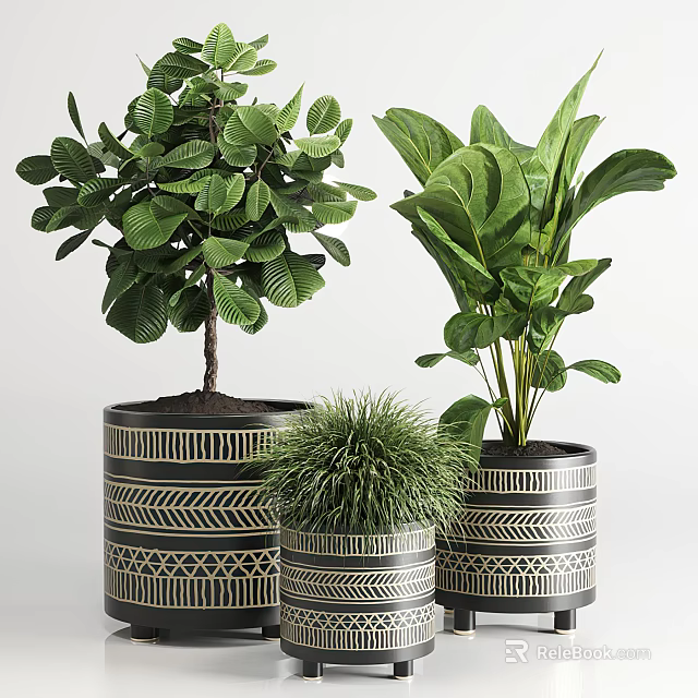 Shower Sauna Decoration With Stylish Patterned Planters And Green Plants 3d model 