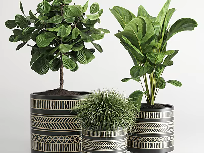 Shower Sauna Decoration With Stylish Patterned Planters And Green Plants 3d model