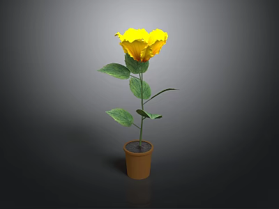 Yellow Flower Plant With Green Leaves In Brown Pot On Dark Background 3d model
