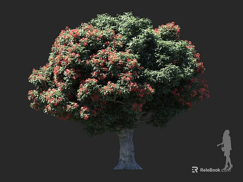 Lush Green Tree With Red Blossoms Thick Trunk And Human Figure For Scale 3d model