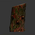 Red and Green Moss Covered Tree Stump with Cracked Surface and Small Protrusions