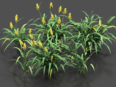 Growing Corn Plants With Long Green Leaves And Bright Yellow Flowers 3d model