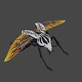 Black And White Striped Beetle With Orange Yellow Wings And Long Legs