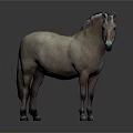 Realistic Light Brown Horse With Blue Black Mane Standing On Gray Background