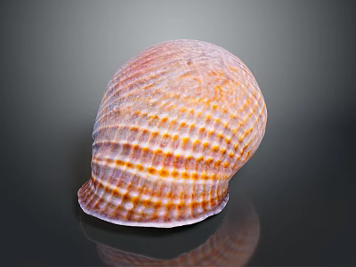 Vibrant Sea Snail With Striped Shell On Reflective Dark Background 3d model