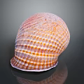 Vibrant Sea Snail With Striped Shell On Reflective Dark Background 3d model