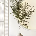 Two Bonsai Plants In Beige Pots With Metal Stands Near Round Mirror Modern White Interior
