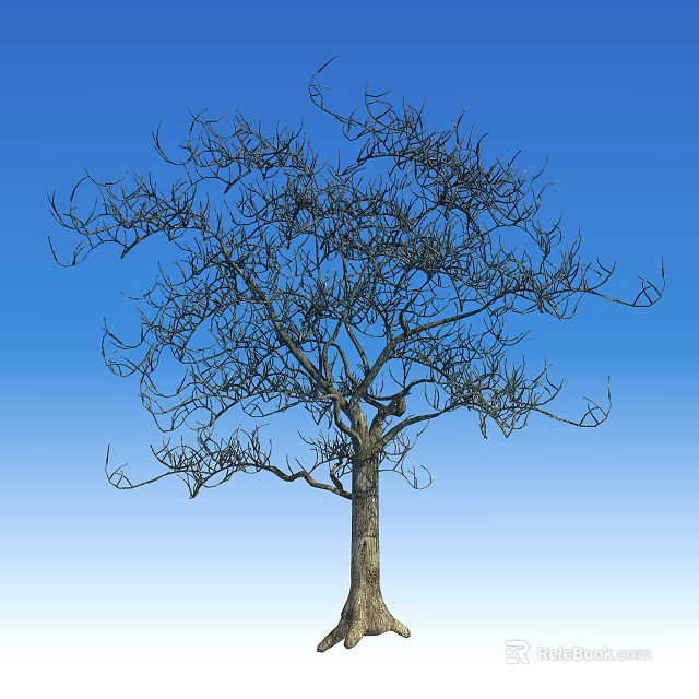 Deciduous Tree Standing Tall with Bare Branches and Trunk Against Clear Blue Sky 3d model 