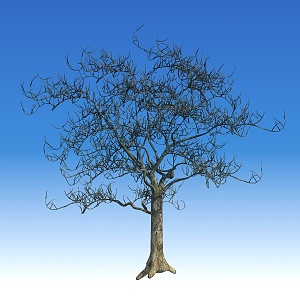 Modern Tree Dead Tree 3d model