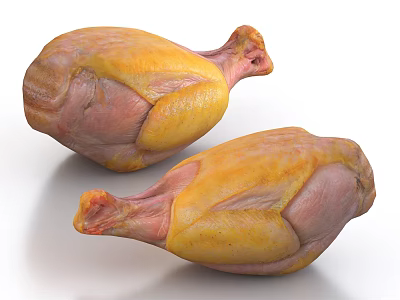 Two Fresh Raw Chicken Pieces With Yellow And Pink Color On White Background 3d model
