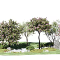 Modern Flower Tree Landscape Tree 3d model