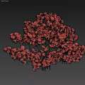 Red Leaf Tree With Vibrant Red Leaves And Lush Foliage Against Gray Background